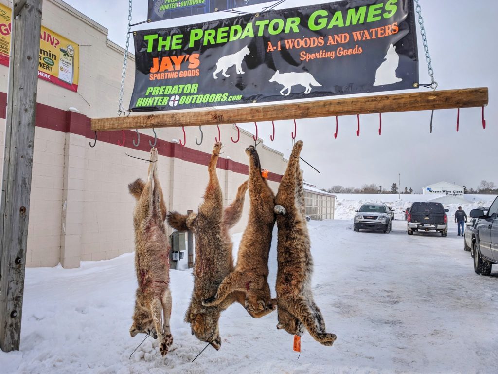 Pred 2019 1024x768 1